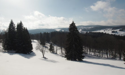 Zimní Šumava 2019