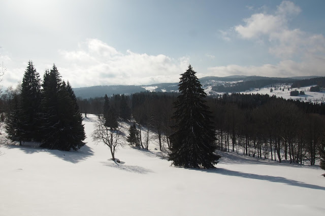 Zimní Šumava 2019