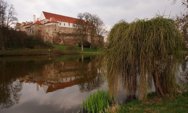 Zámecký park