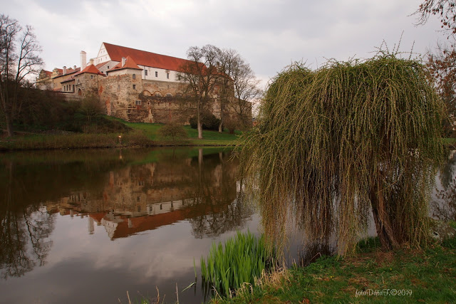 Zámecký park