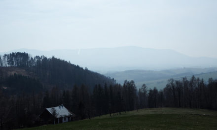 … ze sobotního výletu …