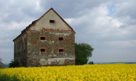 Pampelišková