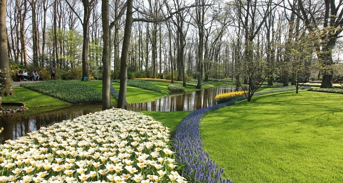 Park Keukenhof a květinová pole /Nizozemí