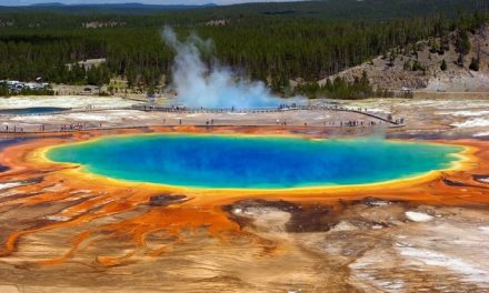 Národní park Yellowstone: Kompletní průvodce – rady, tipy i nejkrásnější místa