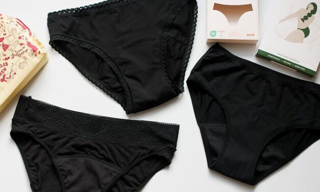 Test menstruačních kalhotek Snuggs, Anaé by Ecodis a Sloggi