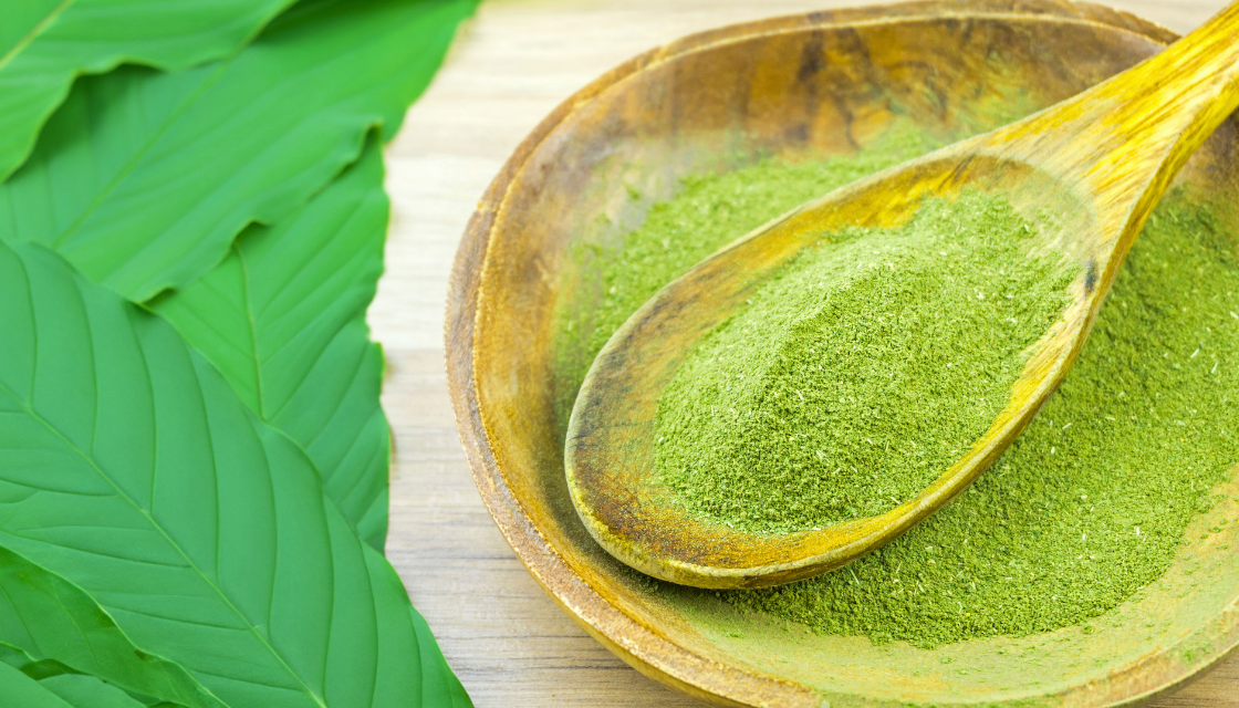 Kratom, přírodní prášek, který povzbudí i uklidní