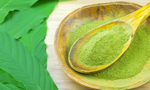 Kratom, přírodní prášek, který povzbudí i uklidní