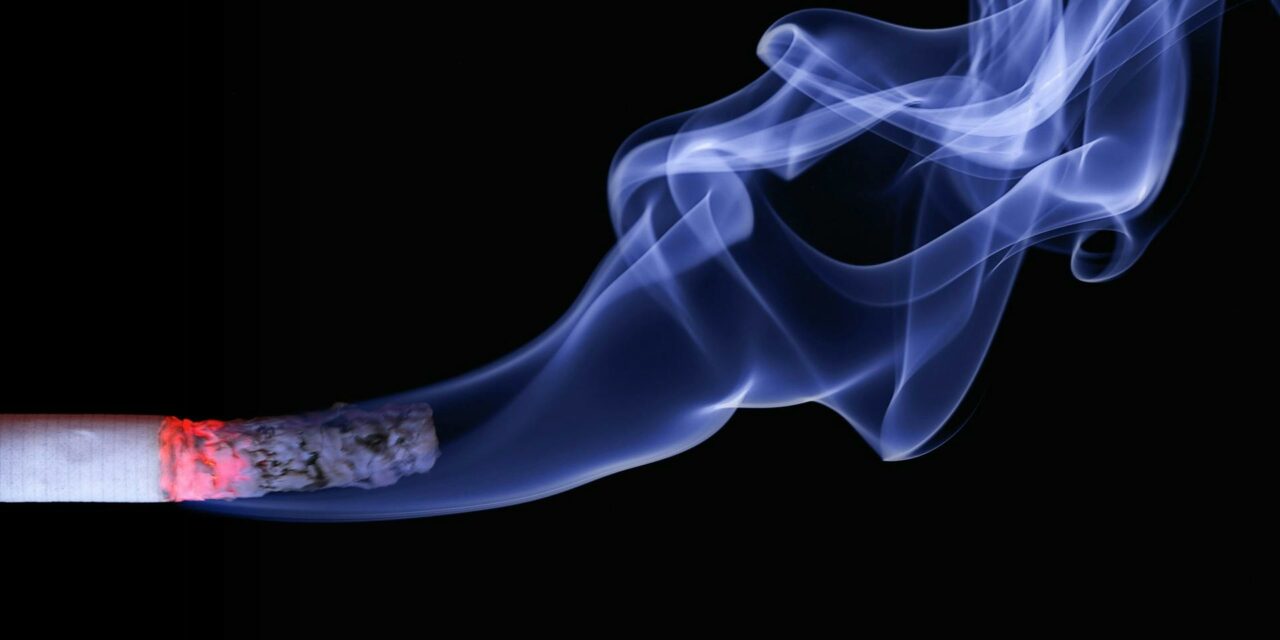 Věděli jste, že popel z cigaret může být skvělý pomocník?